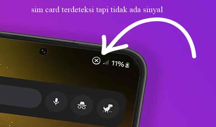 sim card terdeteksi tapi tidak ada sinyal