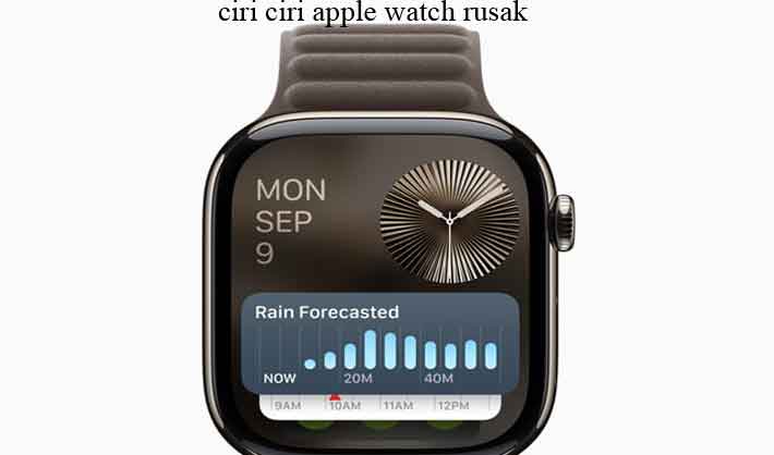 ciri ciri apple watch rusak