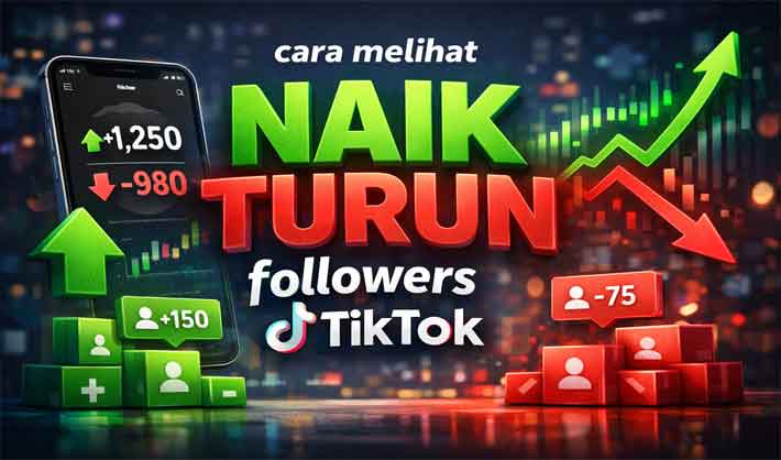 cara melihat naik turun followers tiktok